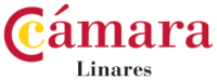 Portal de empleo